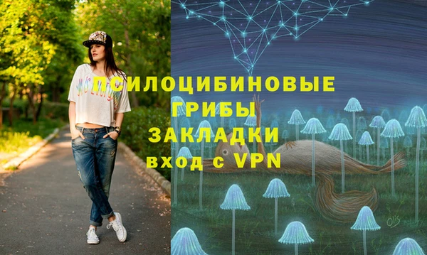 мяу мяу мука Абаза