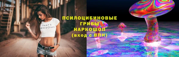 тгк Алексин